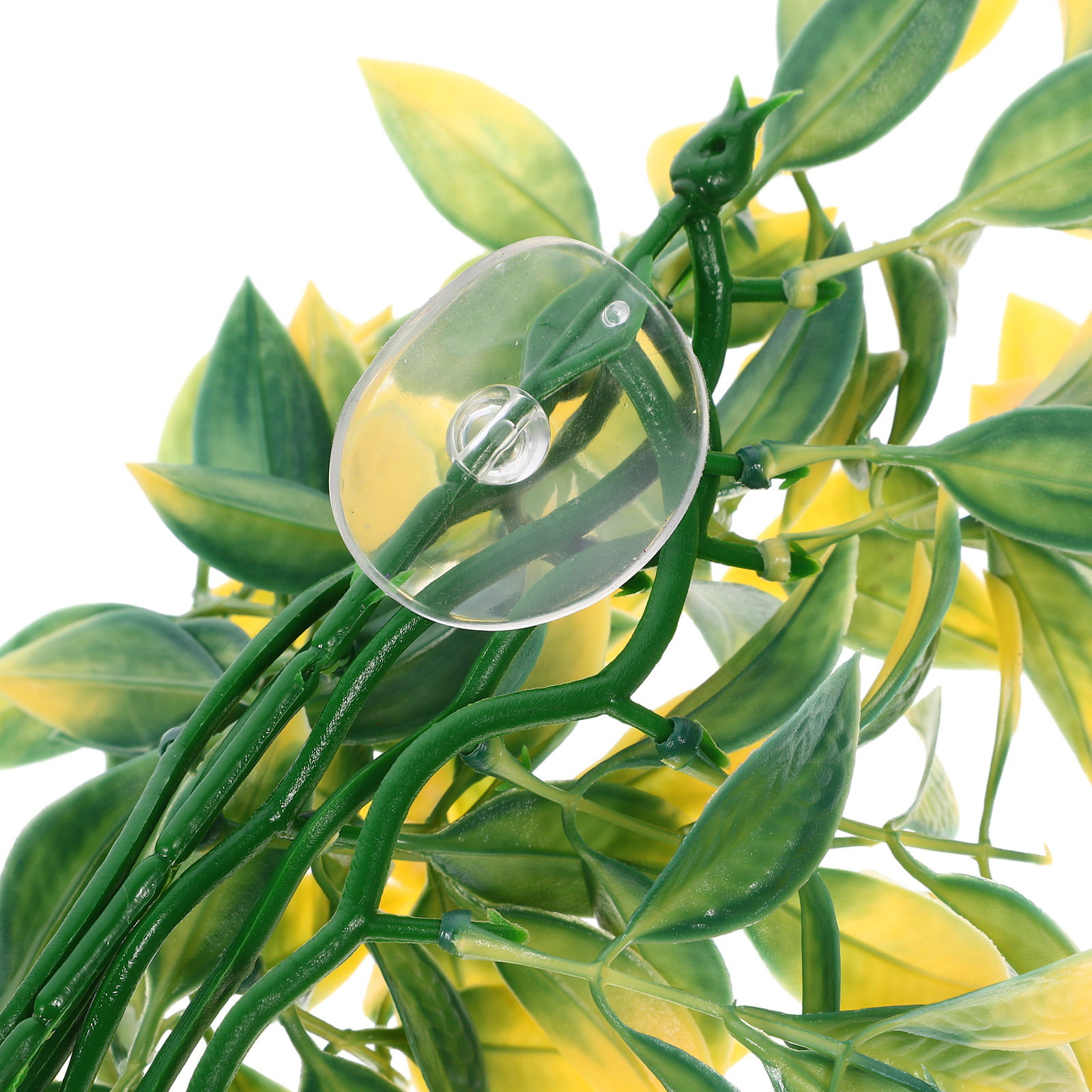 Aquarium Plant Vine - 인공 테라리움 식물, 리얼한 매달린 덩굴
