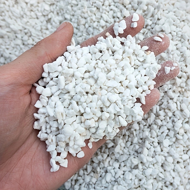 Tissue Culture Plant - 묘목 재배, 꽃 흙, 원예 확장,