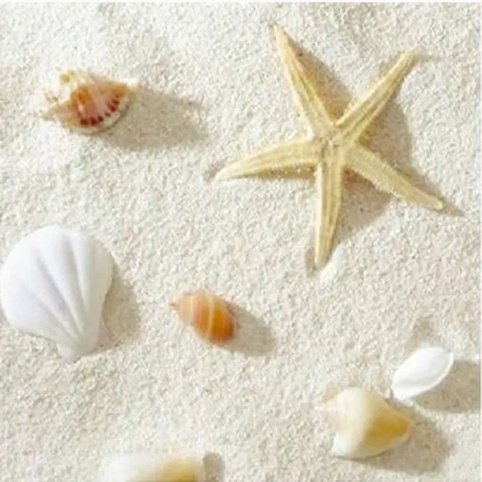 Aquarium Sand White - 네이처엘 필리핀 샌드 코랄 랜드스케이핑 화이트