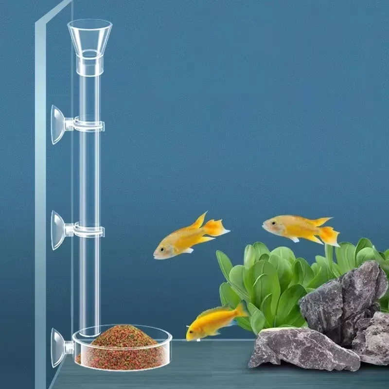 수족관 유리 먹이통 & 새우 먹이 그릇 세트 - 크리스 - Aquarium Plant Red 리뷰 및 가격