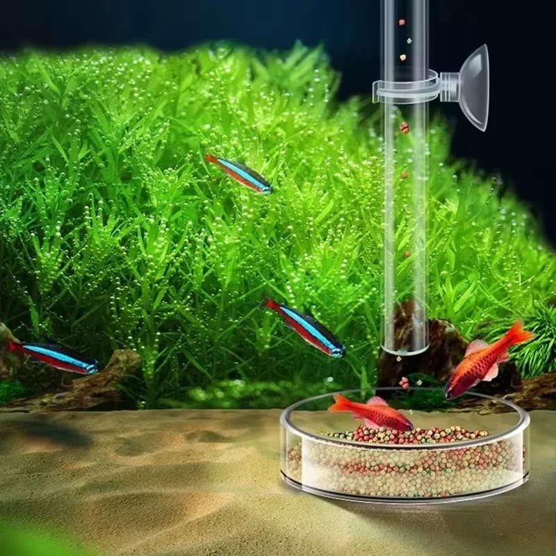 수족관 유리 먹이통 & 새우 먹이 그릇 세트 - 크리스 - Aquarium Plant Red 리뷰 및 가격