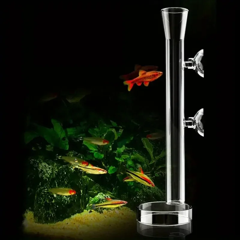 수족관 유리 먹이통 & 새우 먹이 그릇 세트 - 크리스 - Aquarium Plant Red 리뷰 및 가격