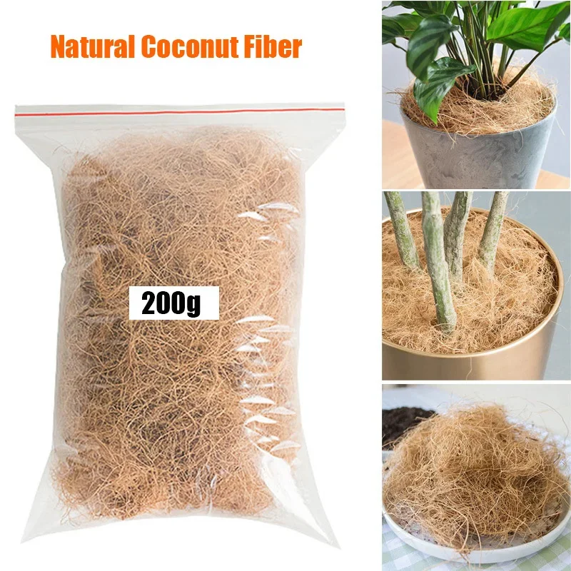 천연 코코넛 껍질 섬유 화분 커버 곤충 방지 보호 정원 - Tissue Culture Plant 리뷰 및 가격