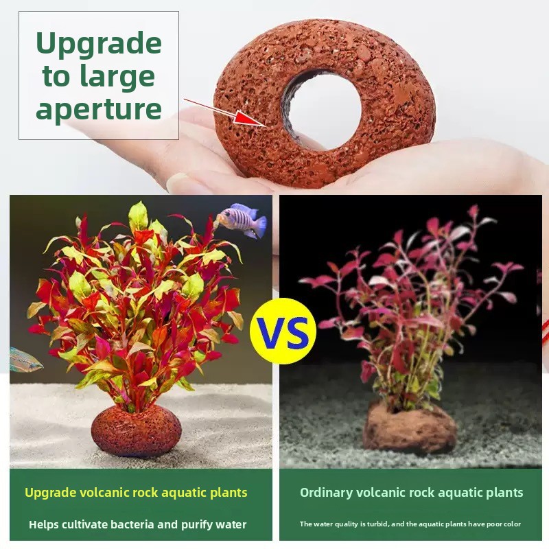 수족관 화산암 어항 식재 링 수생 식물 관리 어항 용품 - Planted Aquarium Care 리뷰 및 가격