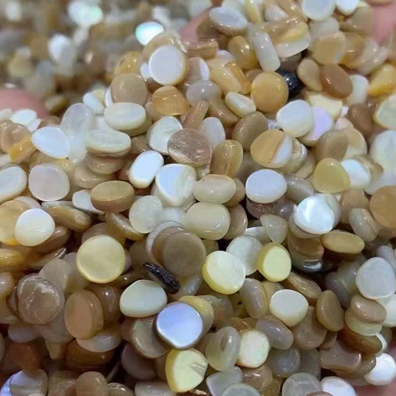 50개 4-7mm 무드릴 천연 베이지 화이트 자개 조개 - Aquarium Sand White 리뷰 및 가격
