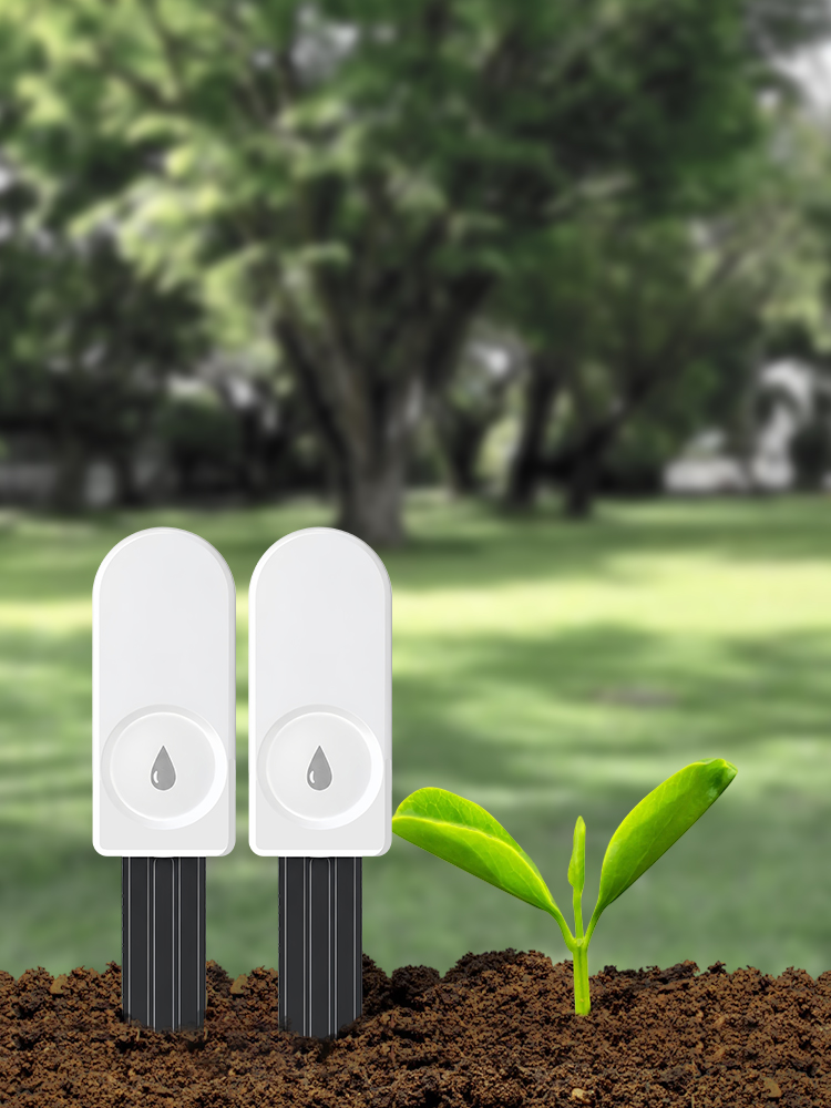 지그비 토양 수분 측정기 (정원용) - 농장, 잔디밭, - Tissue Culture Plant 리뷰 및 가격