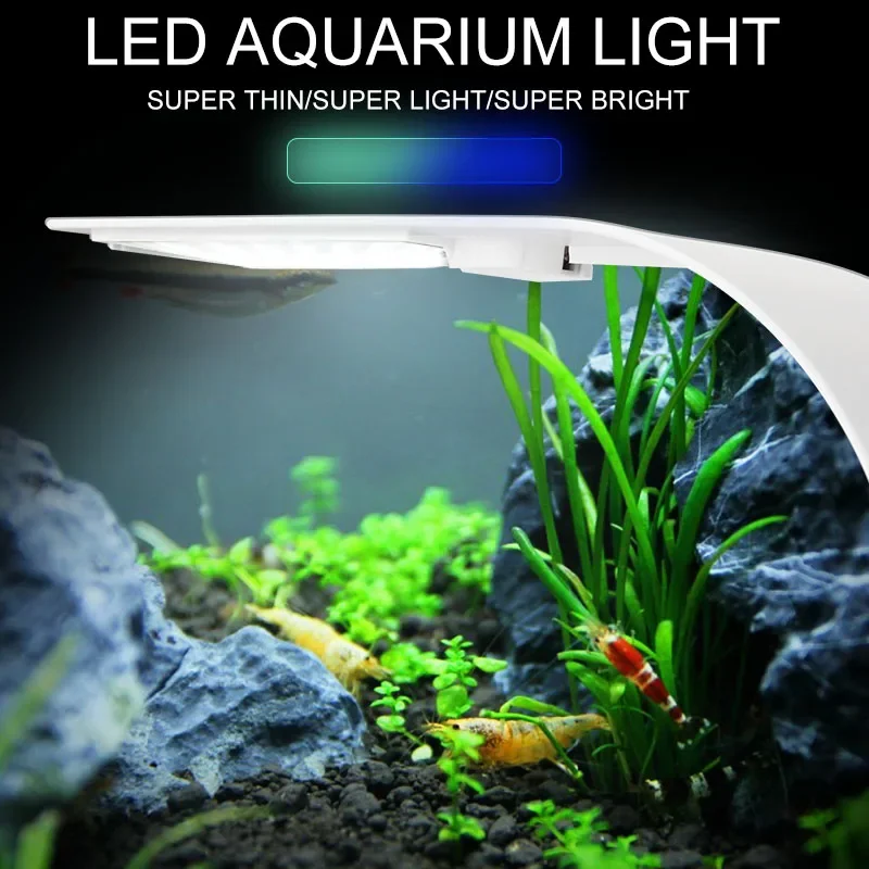 슈퍼 슬림 LED 수족관 조명 조명 식물 성장 빛 5W - Planted Aquarium Pictures 리뷰 및 가격