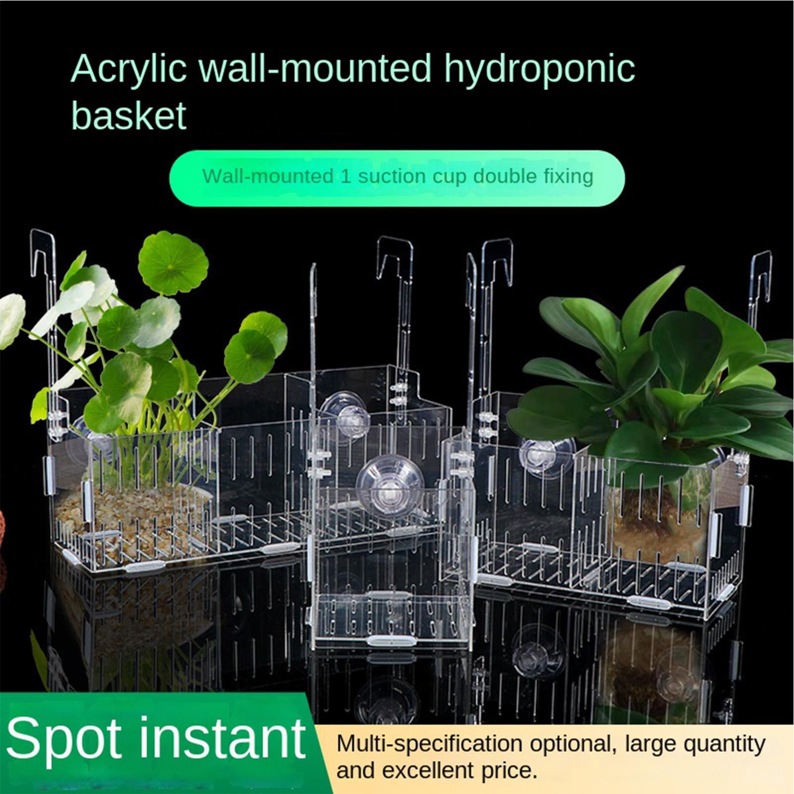 아크릴 수족관 식물 홀더 높이 조절 가능 수경 재배 화 - Aquarium Plant Vine 리뷰 및 가격