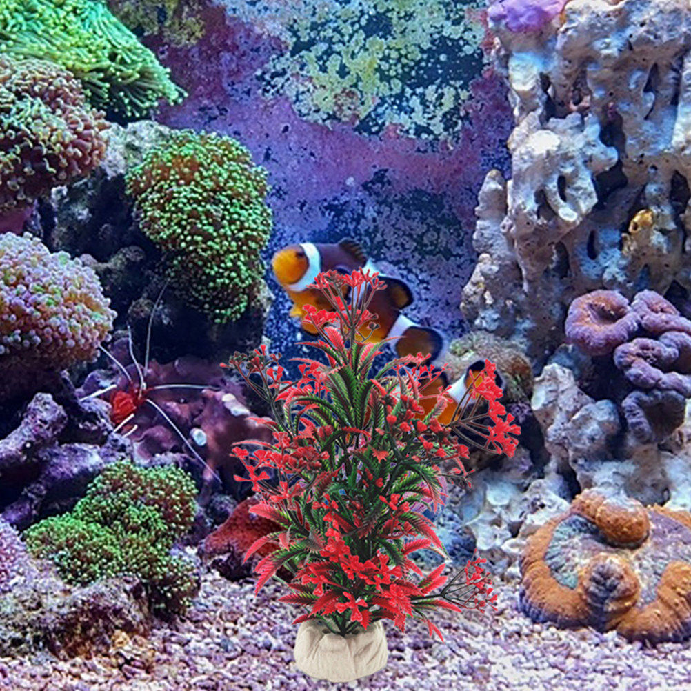 2개입 수족관 장식 인조 수초 플라스틱 리얼리스틱 부드 - Aquarium Plant Red 리뷰 및 가격