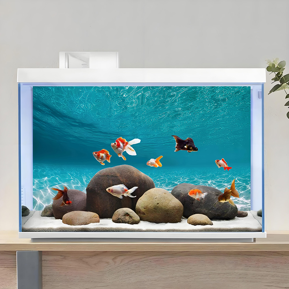 햇살에 비치는 흰 모래, 어항 배경 그림, 수족관 스티 - Aquarium Sand White 리뷰 및 가격