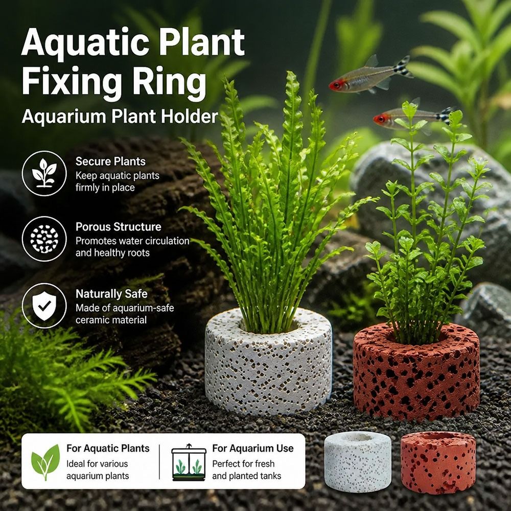 10Pcs 가중 링 수생 식물 고정 링 지지대 링 그림 - Planted Aquarium Pictures 리뷰 및 가격