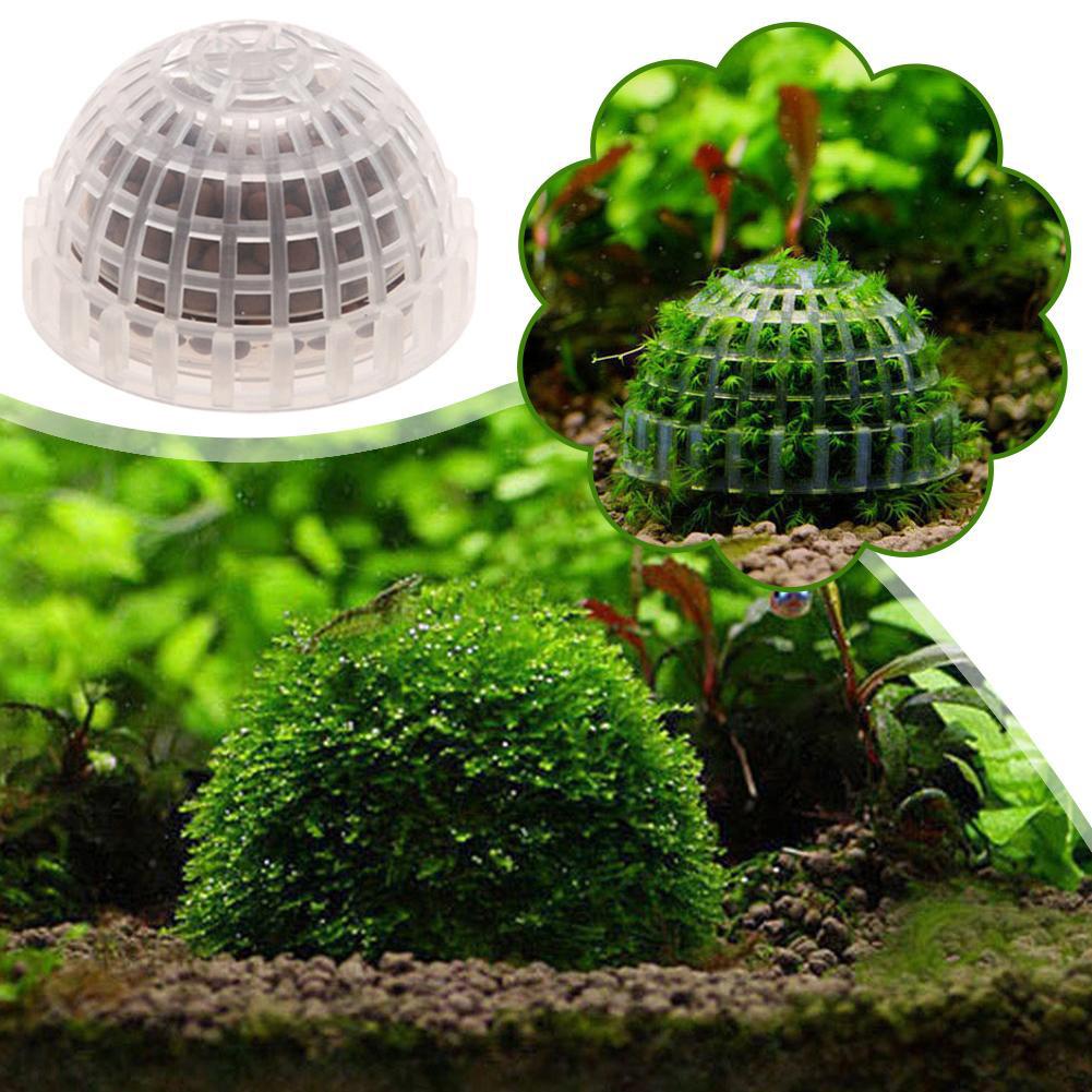 1-5PCS 수족관 장식 식물 수족관 용 바이오 모스  - Aquarium Plant Red 리뷰 및 가격