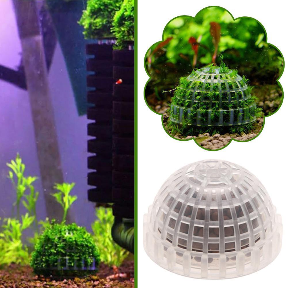1-5PCS 수족관 장식 식물 수족관 용 바이오 모스  - Aquarium Plant Red 리뷰 및 가격