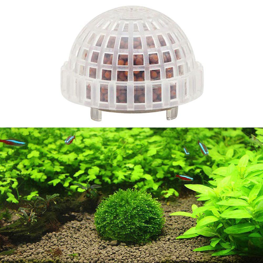 1-5PCS 수족관 장식 식물 수족관 용 바이오 모스  - Aquarium Plant Red 리뷰 및 가격