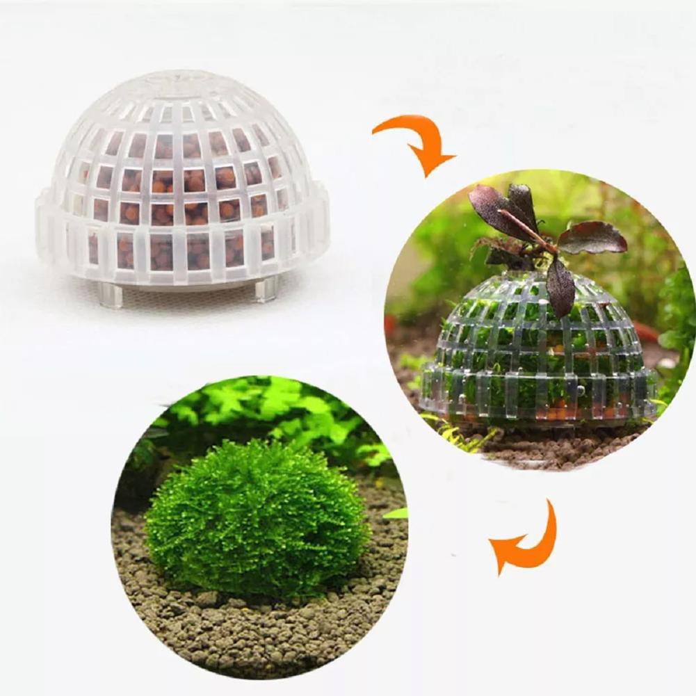 수족관 장식 식물 바이오 모스 볼 홀더 수족관 크리스탈 - Aquarium Plant Red 리뷰 및 가격