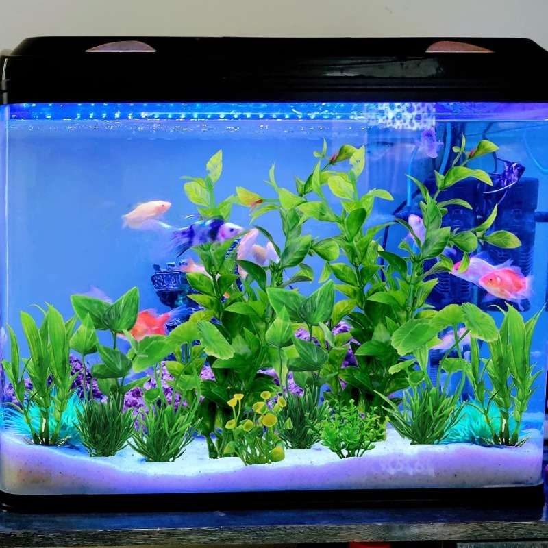 10개/세트 플라스틱 인조 수족관 식물 장식품 녹색 모 - Aquarium Plant Vine 리뷰 및 가격