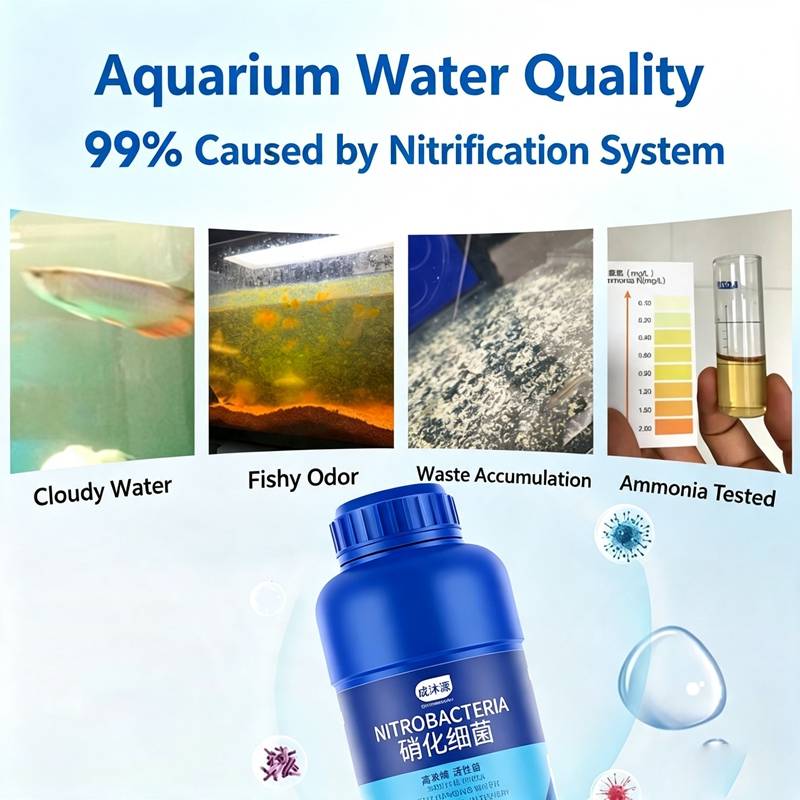 수족관 담수 120ml 케어 콤보 메틸렌 블루 수질 조 - Planted Aquarium Care 리뷰 및 가격