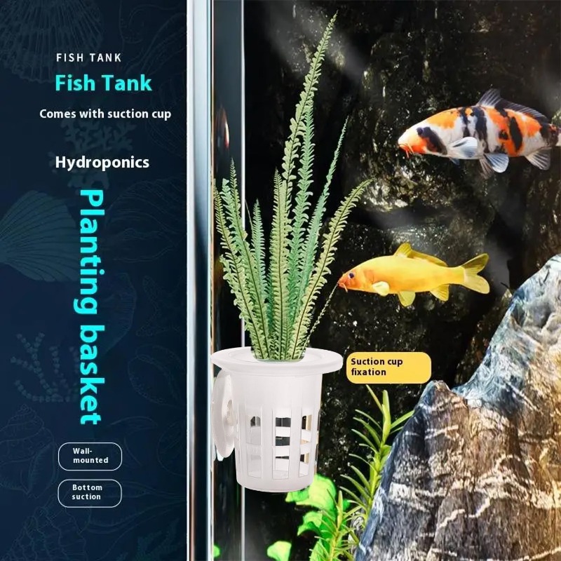 10/20/30Pcs 플라스틱 수족관 심기 컵, 흡착판 - Aquarium Plant Growing 리뷰 및 가격