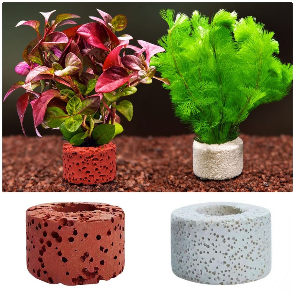10Pcs 가중 링 수생 식물 고정 링 지지대 링 그림 - Planted Aquarium Pictures 리뷰 및 가격