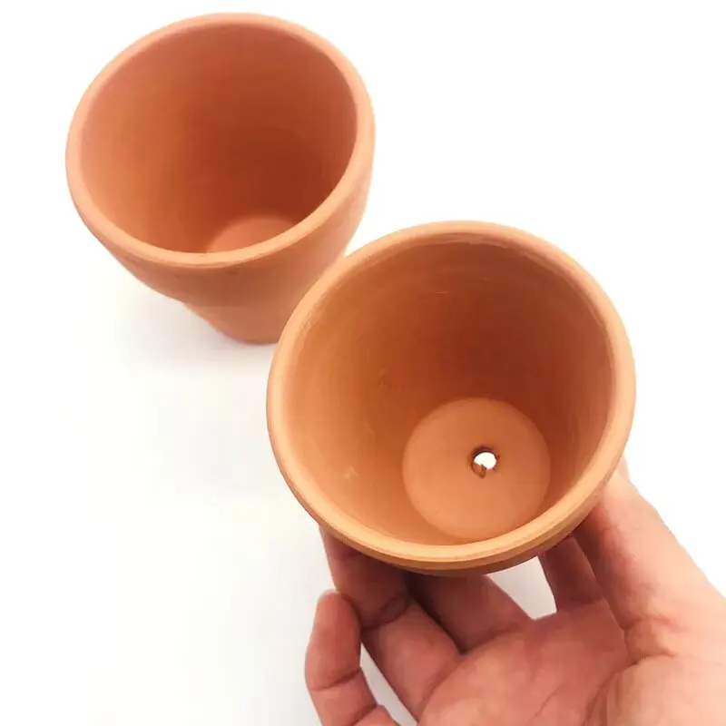 붉은 진흙 수족관 장식, 물 잔디 물고기 탱크 미니 냄 - Aquarium Plant Red 리뷰 및 가격